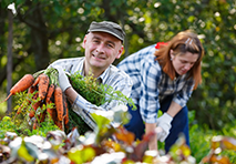 Anatolian Herbs Video